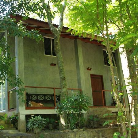 Executive Residency Retreat Villa Hikkaduwa Exterior photo
